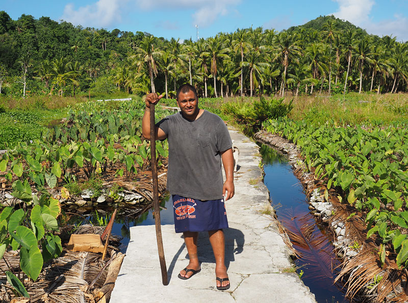 Peter Taliva’a in his taro plantation on Aunu'u Island