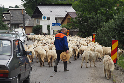 Traffic jam on the main road to Sighetu Marmației