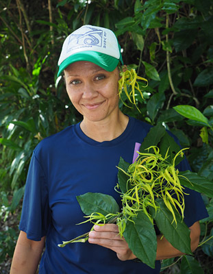Paula Stevenson-McDonald with flowers from the moso’oi tree