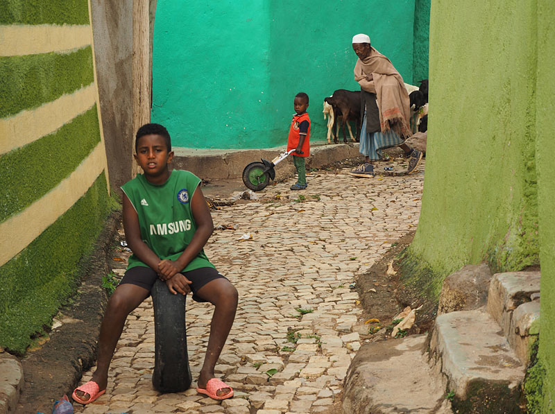 A street scene in the Jugol (old town) of Harar.