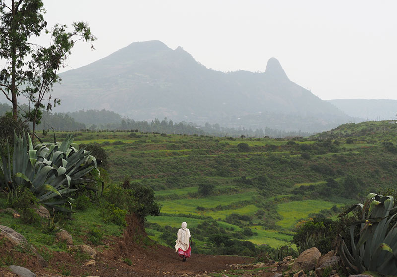 On the path to Axum, northern Ethiopia.