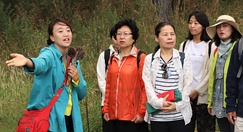 Meditation Tours director Yewon Hwang shows a group the Earth Village site