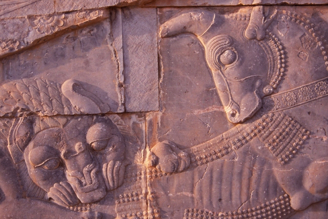A lion attacks a bull in a 2500-year-old carving at Persepolis