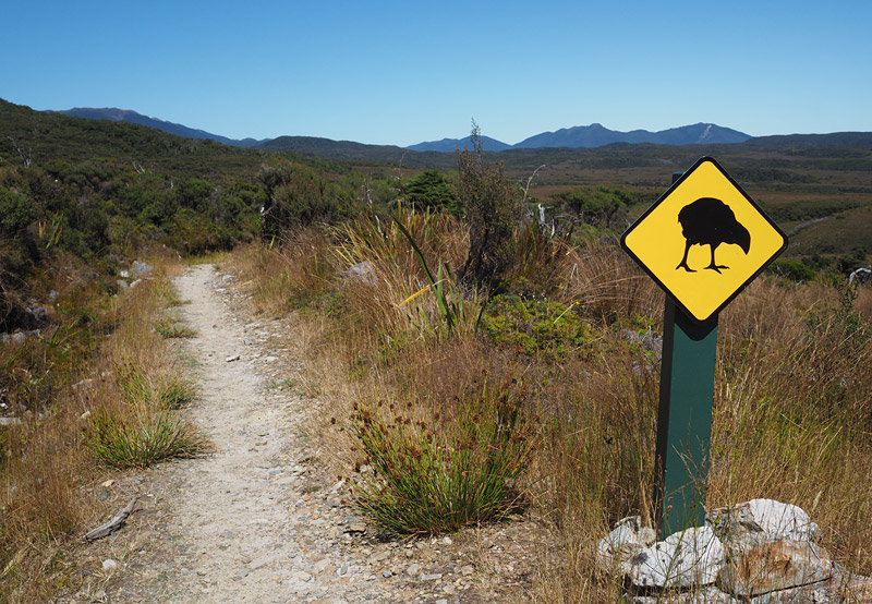 Takahe crossing sign, Gouland Downs