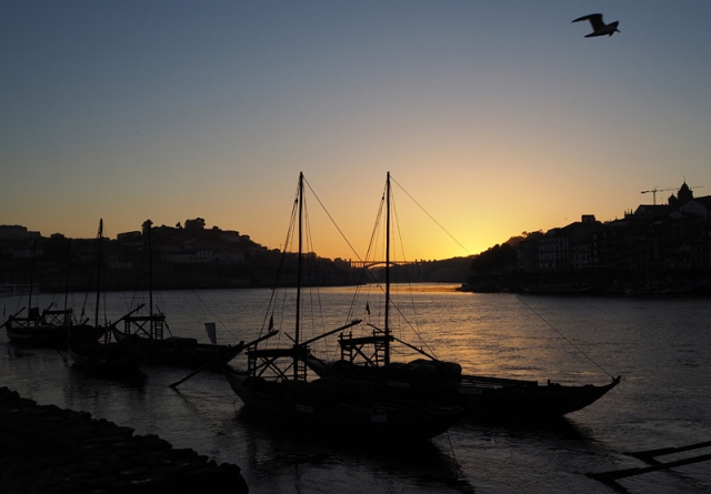 Rabelo in the Rio Douro at sunset