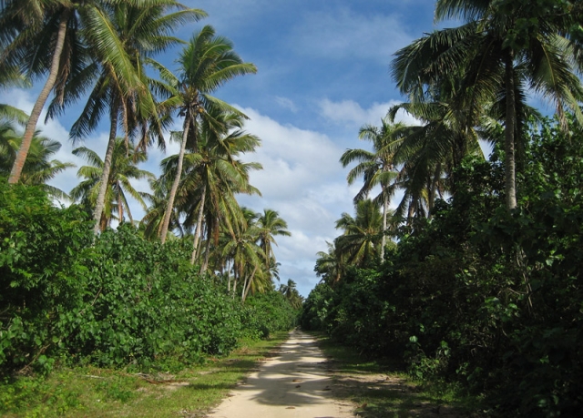 A busy main road on Lifuka Island