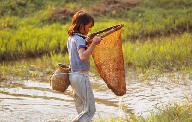A girl nets fish in Vang Vieng