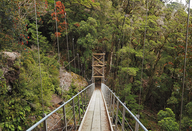 Waterfall Bridge spans the base of a waterfall among scarlet-flowering rata trees