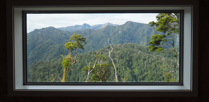 View from a window at Pororari Hut