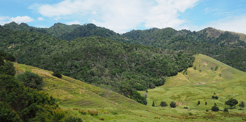 The highest points of the range, as seen from Tangihua Road.