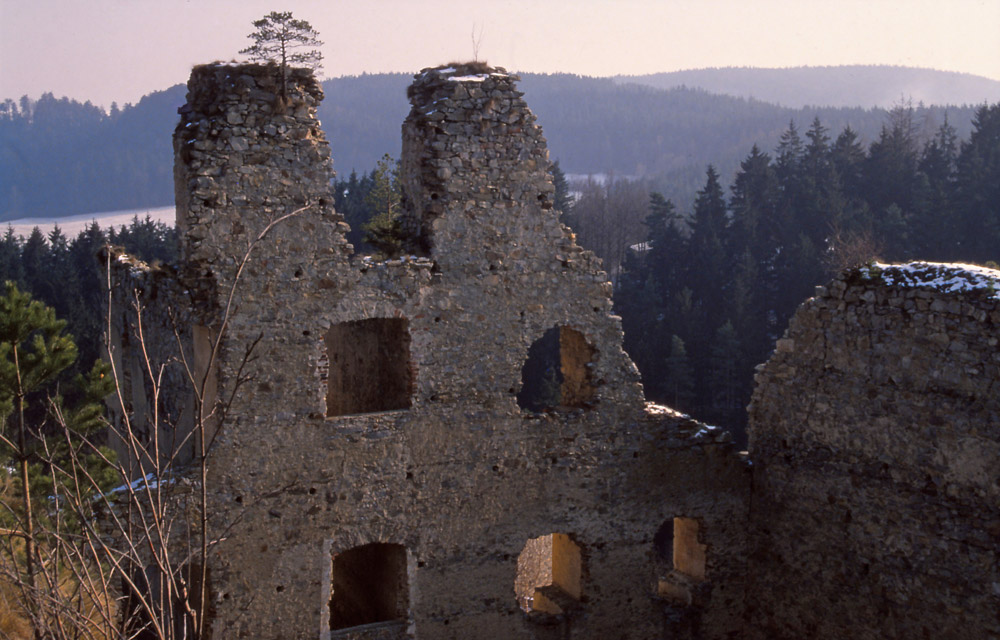 Ruins of the 14th century castle of Dívčí Kámen, South Bohemia