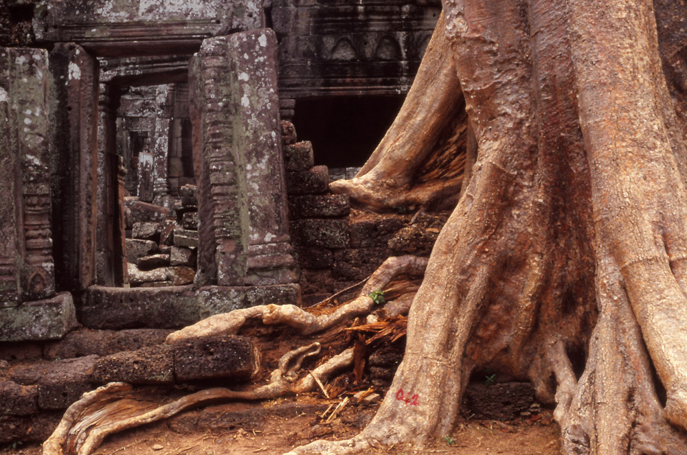 Banteay Kdei, a late 12th century Buddhist temple, is quiet and overgrown