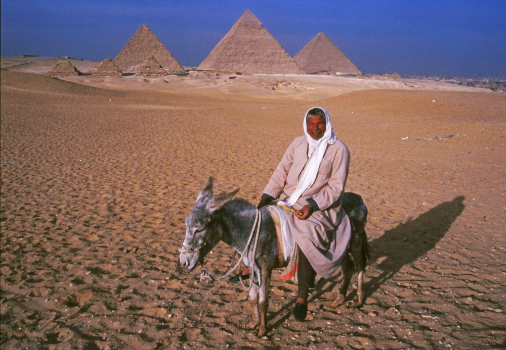 A man and his donkey take an evening ride at Giza