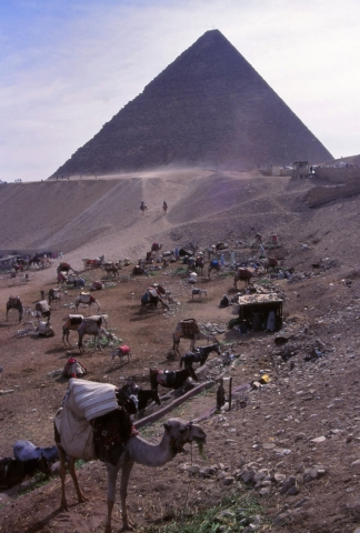 "The camel park" next to the Great Pyramid of Cheops in Giza