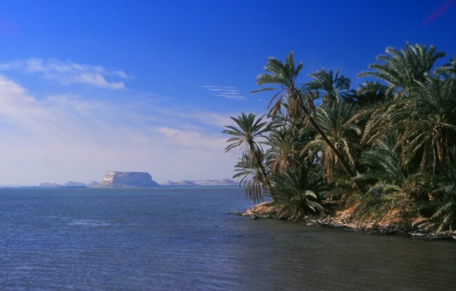 A salt lake ringed by date palms at Siwa, an oasis deep in Egypt's Western Desert