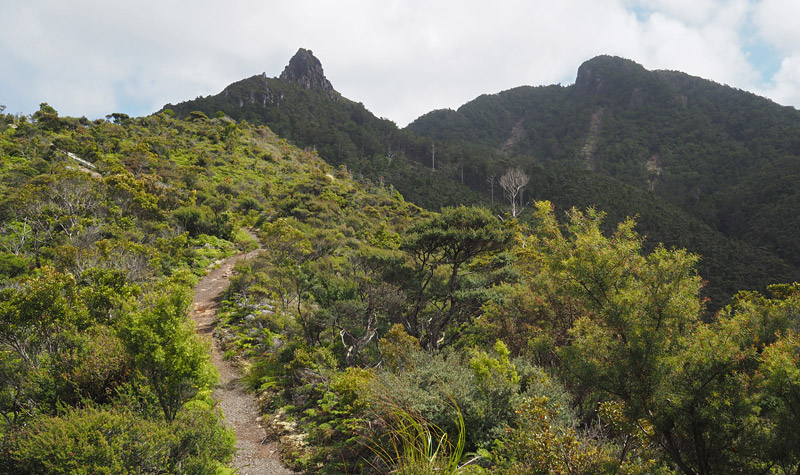 Peach Tree Track with Mt Heale and Mt Hobson (right) in the distance