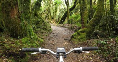 How to ride New Zealand’s Timber Trail without blowing your budget — or busting a gut