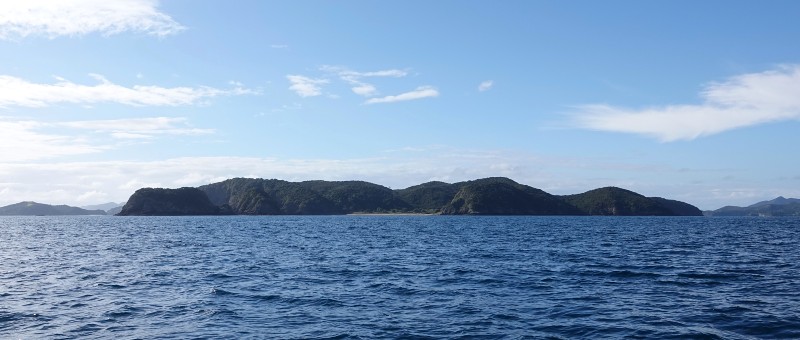 Moturua Island with the famed archaeological site at Mangahawea Bay in the centre.