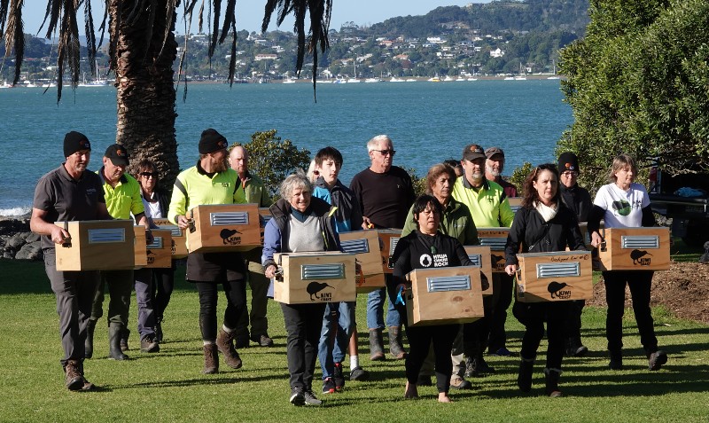 The kiwi arrive at Waitangi ready to be taken to their new home. 