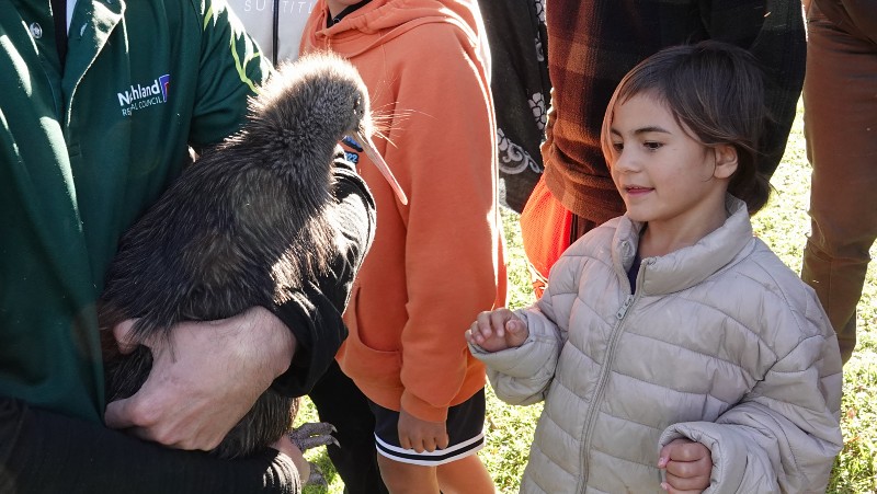 Five-year-old Kowhai Taituha meets her first kiwi.