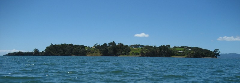 Moturoa Island has a peculiar problem. 